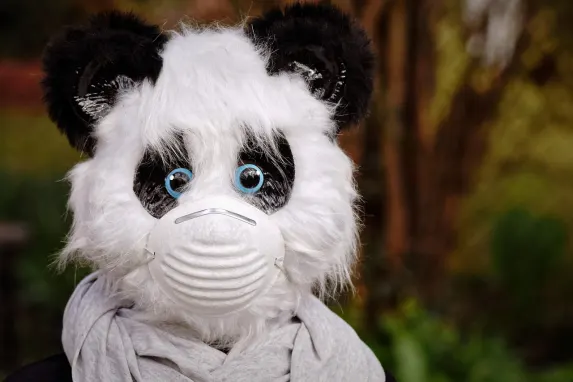 Vegadream Casino Kundeservice